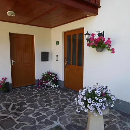 Sion 4 Maria Alm am Steinernen Meer